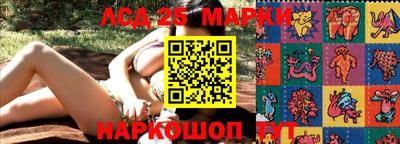 тгк Моздок