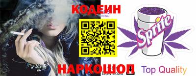 Альфа ПВП Можга