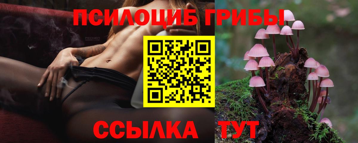 Чебаркуль  Галлюциногенные грибы Psilocybine cubensis  Вход с VPN  Галлюциногенные грибы мухоморы 